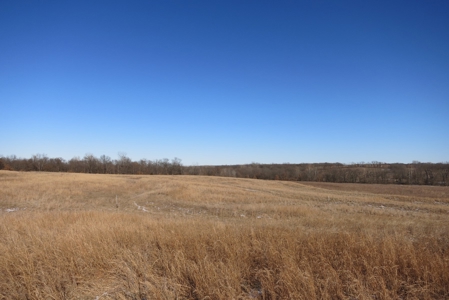Gentry County Land Auction – March 2, 2019 - image 8