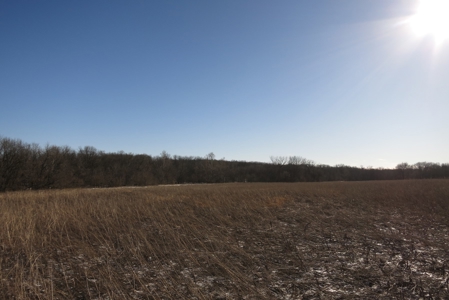 Gentry County Land Auction – March 2, 2019 - image 2
