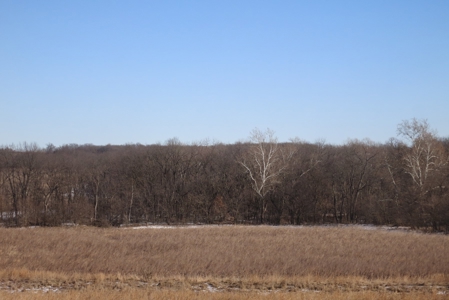 Gentry County Land Auction – March 2, 2019 - image 7