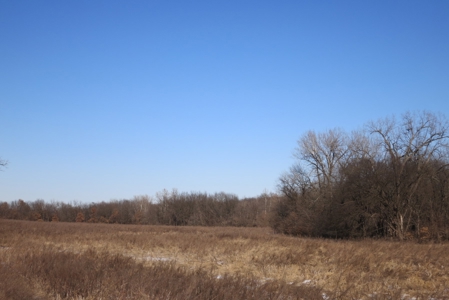 Gentry County Land Auction – March 2, 2019 - image 5