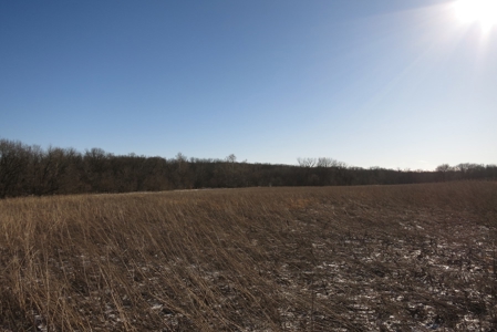 Gentry County Land Auction – March 2, 2019 - image 1