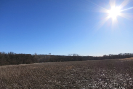 Gentry County Land Auction – March 2, 2019 - image 4