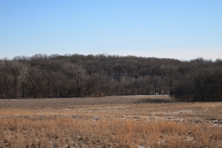 Gentry County Land Auction – March 2, 2019 - image 14