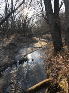 Gentry County Land Auction – March 2, 2019 - image 3