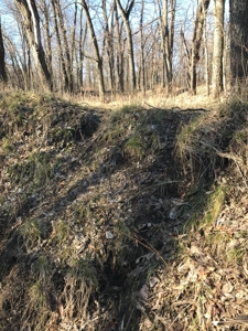 Gentry County Land Auction – March 2, 2019 - image 9