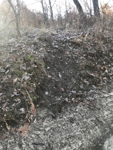 Gentry County Land Auction – March 2, 2019 - image 6