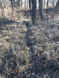 Gentry County Land Auction – March 2, 2019 - image 2
