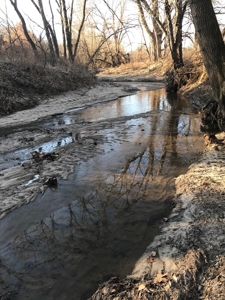 Gentry County Land Auction – March 2, 2019 - image 5