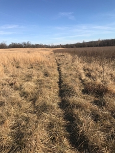 Gentry County Land Auction – March 2, 2019 - image 10