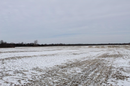 Tillable Row Crop Farm Land Auction Boone County MO! - image 11
