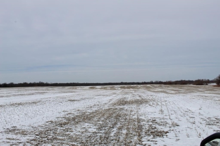 Tillable Row Crop Farm Land Auction Boone County MO! - image 10