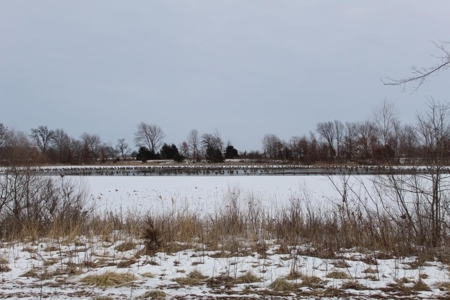 Tillable Row Crop Farm Land Auction Boone County MO! - image 18