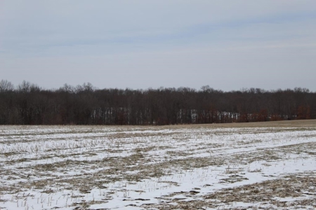Tillable Row Crop Farm Land Auction Boone County MO! - image 14