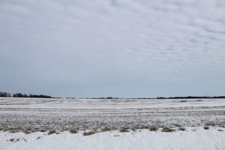 Tillable Row Crop Farm Land Auction Boone County MO! - image 21