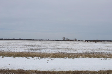Tillable Row Crop Farm Land Auction Boone County MO! - image 5