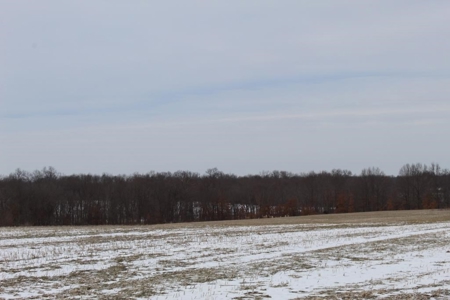 Tillable Row Crop Farm Land Auction Boone County MO! - image 13