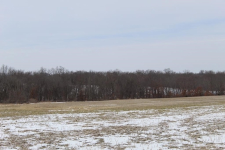 Tillable Row Crop Farm Land Auction Boone County MO! - image 15