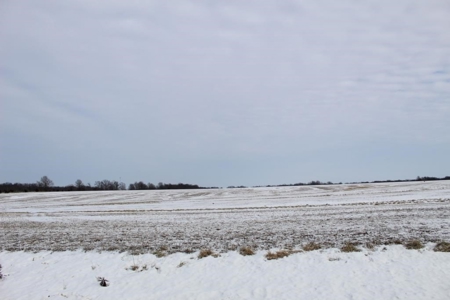 Tillable Row Crop Farm Land Auction Boone County MO! - image 22
