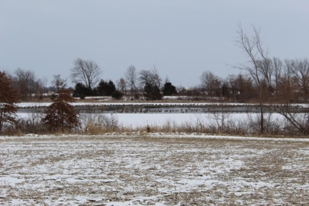 Tillable Row Crop Farm Land Auction Boone County MO! - image 17
