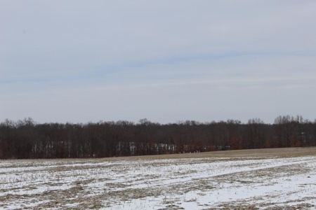 Tillable Row Crop Farm Land Auction Boone County MO! - image 12
