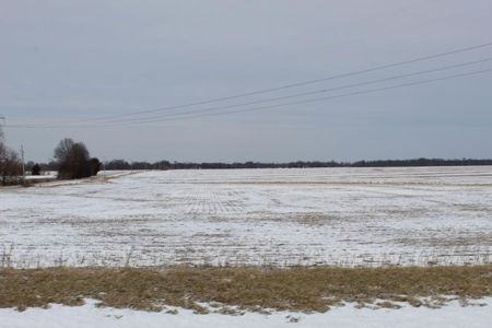 Tillable Row Crop Farm Land Auction Boone County MO! - image 4