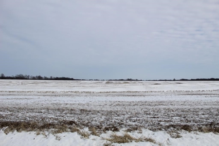 Tillable Row Crop Farm Land Auction Boone County MO! - image 1