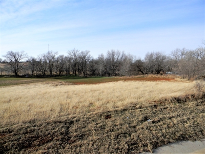 Commercial & Residential Land for Sale, Arapaho OK Custer Co - image 3