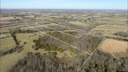 Absolute Multipar Farm Auction 200 + Acres Near Danville Ky - image 4