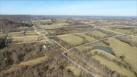 Absolute Multipar Farm Auction 200 + Acres Near Danville Ky - image 1