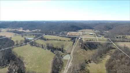 Absolute Multipar Farm Auction 200 + Acres Near Danville Ky - image 11
