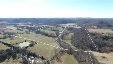 Absolute Multipar Farm Auction 200 + Acres Near Danville Ky - image 10