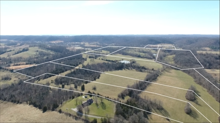 Absolute Multipar Farm Auction 200 + Acres Near Danville Ky - image 8