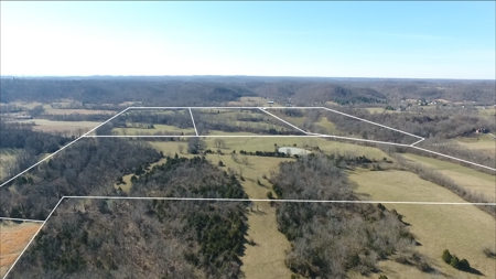 Absolute Multipar Farm Auction 200 + Acres Near Danville Ky - image 5