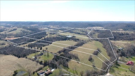Absolute Multipar Farm Auction 200 + Acres Near Danville Ky - image 9