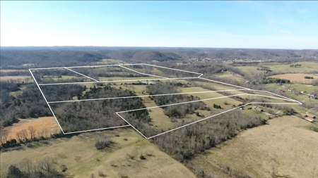 Absolute Multipar Farm Auction 200 + Acres Near Danville Ky - image 6