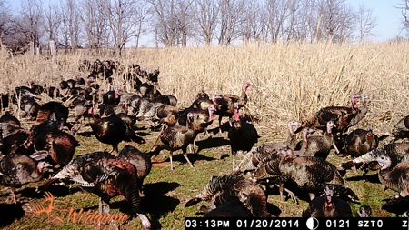 Oklahoma Hunting & Ranch Land for Sale - Washita County ±160 - image 13