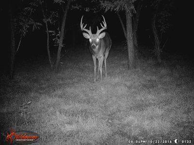 Oklahoma Hunting & Ranch Land for Sale - Washita County ±160 - image 15
