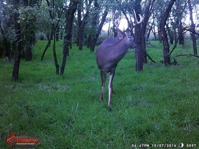 Oklahoma Hunting & Ranch Land for Sale - Washita County ±160 - image 12