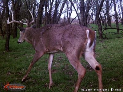 Oklahoma Hunting & Ranch Land for Sale - Washita County ±160 - image 14