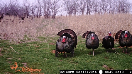 Oklahoma Hunting & Ranch Land for Sale - Washita County ±160 - image 10