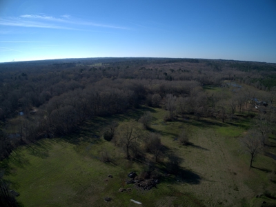 Land for Sale Hallsville ISD Real Estate Auction Hallsville - image 3