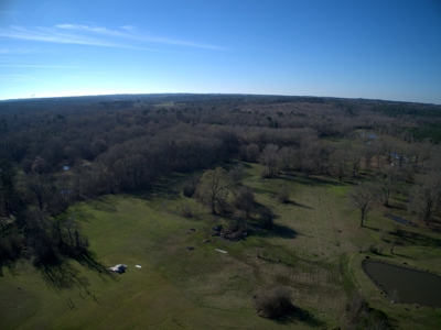 Land for Sale Hallsville ISD Real Estate Auction Hallsville - image 2