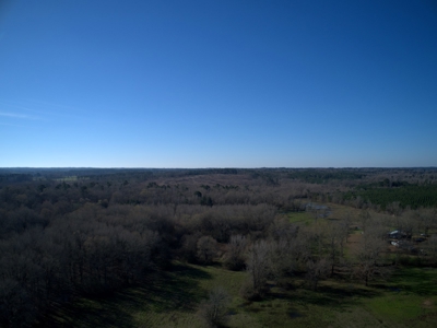 Land for Sale Hallsville ISD Real Estate Auction Hallsville - image 6