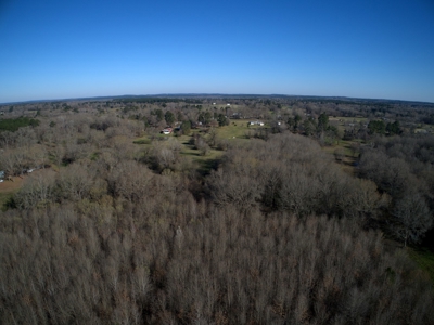 Land for Sale Hallsville ISD Real Estate Auction Hallsville - image 4