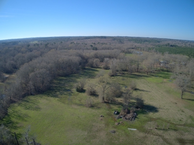 Land for Sale Hallsville ISD Real Estate Auction Hallsville - image 8