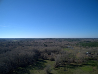 Land for Sale Hallsville ISD Real Estate Auction Hallsville - image 7