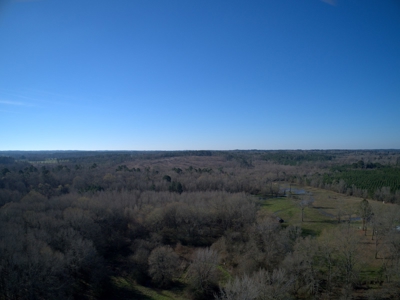 Land for Sale Hallsville ISD Real Estate Auction Hallsville - image 5