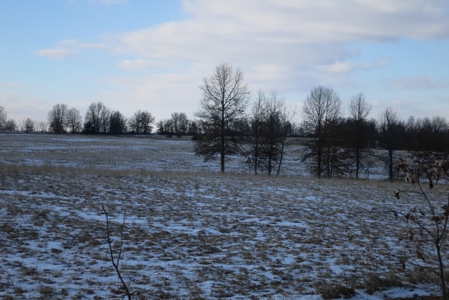 Daviess County Land Auction – April 13, 2019 - image 19