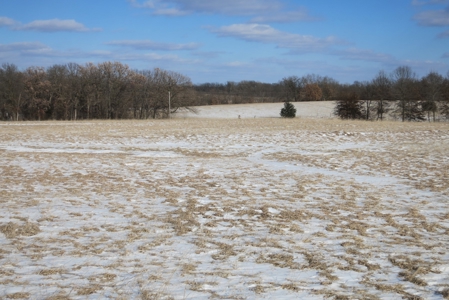 Daviess County Land Auction – April 13, 2019 - image 10