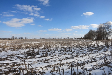 Daviess County Land Auction – April 13, 2019 - image 5